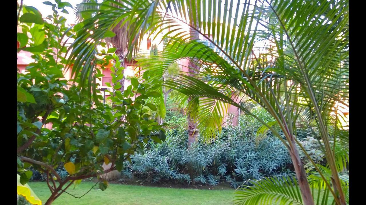Marbella Alicate Beachfront - Luxury Apartment-2 Esterno foto